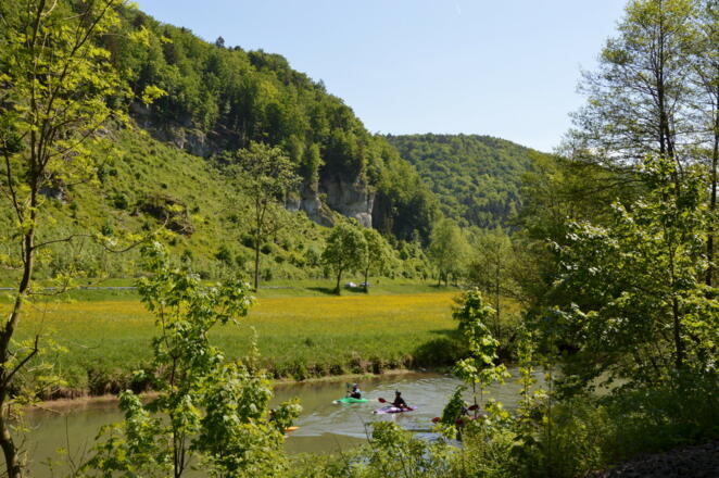 Überall ist Bewegung, nicht nur auf dem Lande