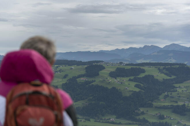Blick Richtung Sulzberg (c) Martin Vogel / Vorarlberg Tourismus