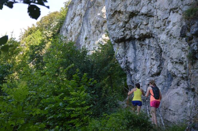 FS-Trailissimo ~ schmale Pfade in,an,durch Felsen in der Fränkischen Schweiz