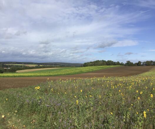 Schleifenroute - fränkische Alb