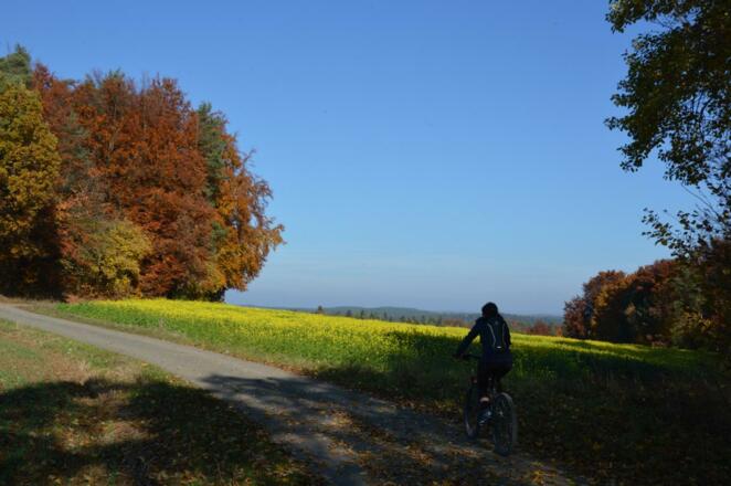 von Engelhardsberg oberhalb des Aufseßtals nach Wüstenstein