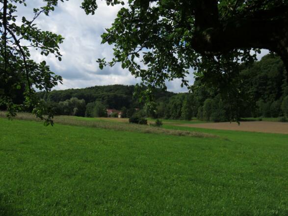 Waldbaden mit Ausblick