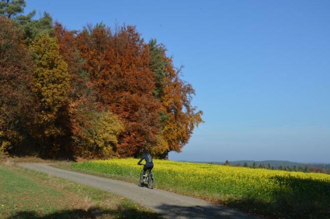 von Engelhardsberg oberhalb des Aufseßtals nach Wüstenstein
