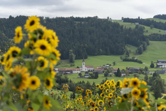 Sulzberg Thal (c) Martin Vogel / Vorarlberg Tourismus