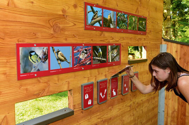 Schautafeln auf dem Kugel-Alp-Weg