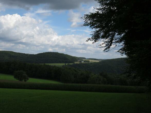 Waldbaden mit Ausblick