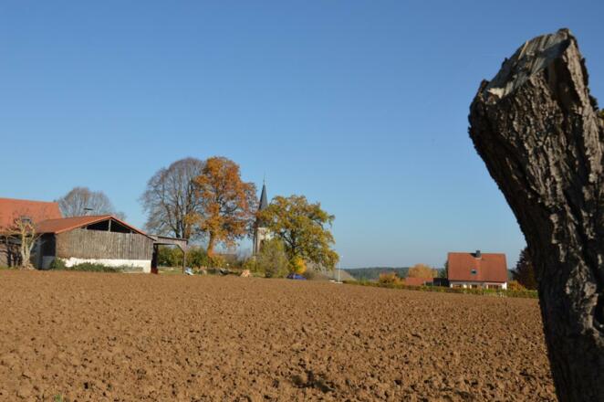 von Engelhardsberg oberhalb des Aufseßtals nach Wüstenstein