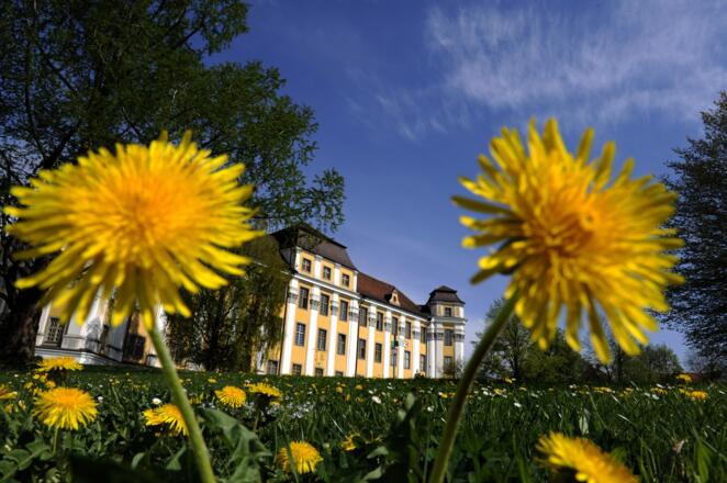 Schloss Tettnang