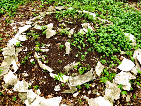 Smiley aus dem Jurameer mit Bärlauch