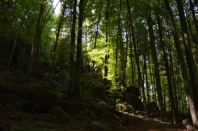 nichts sagen, nur staunen und genießen