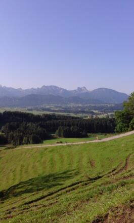 Blick von der Alpe Beichelstein 