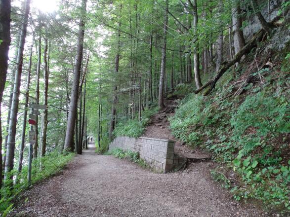 Abzweig vom Weißensee-Rundweg in Richtung Alatsee 