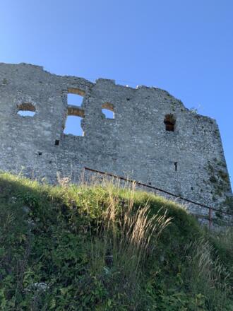 Burgruine Falkenstein