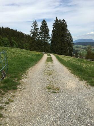 Feldweg Richtung Eisenberg