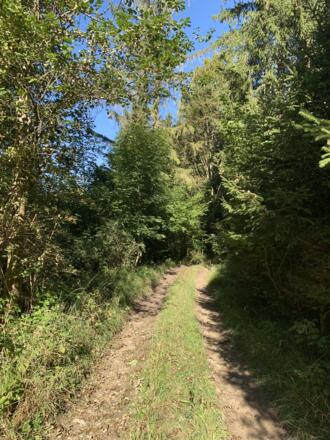 Feldweg Richtung Schloßanger Alp