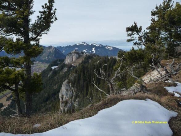 Blick vom Zirmgrat zum Falkenstein