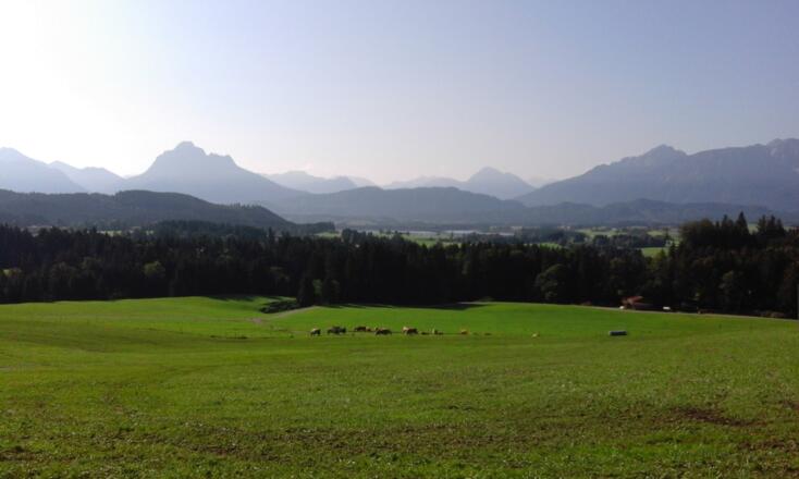Ausblick über die Ammergauer und Allgäuer Alpen