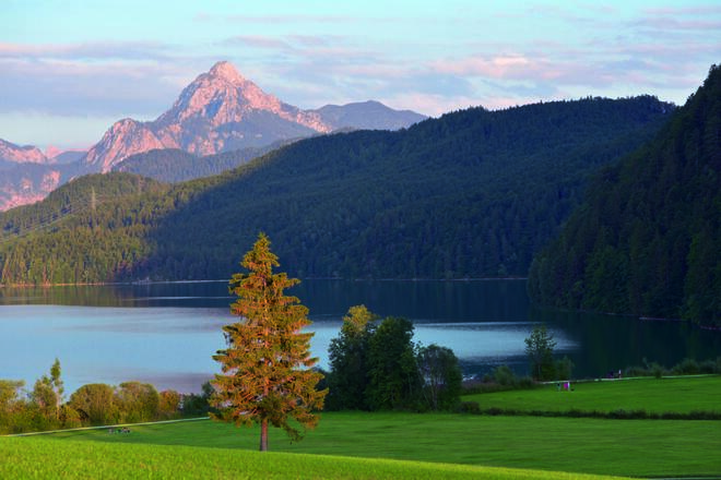 Die Seenlandschaft im Schlosspark