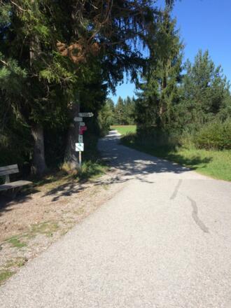 Wegweisung Richtung Wald 