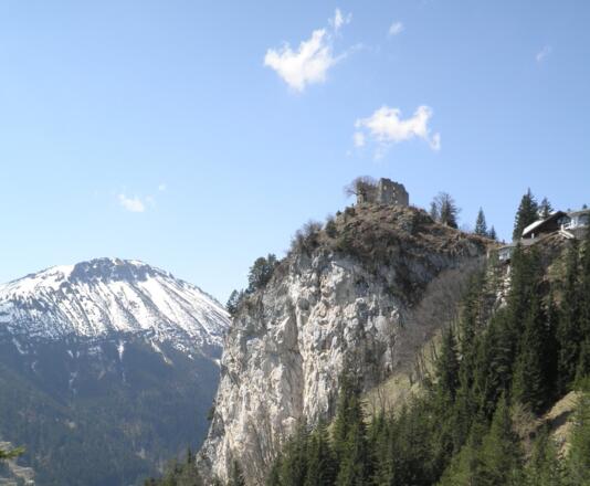 Blick zum Falkenstein