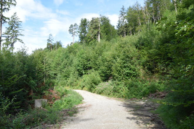 Schotterweg zum Erlebnisspielplatz