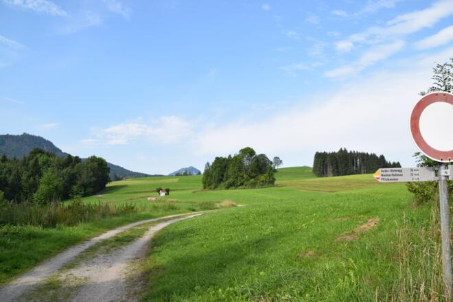 Feldweg in Richtung Vorder-/Hinteregg