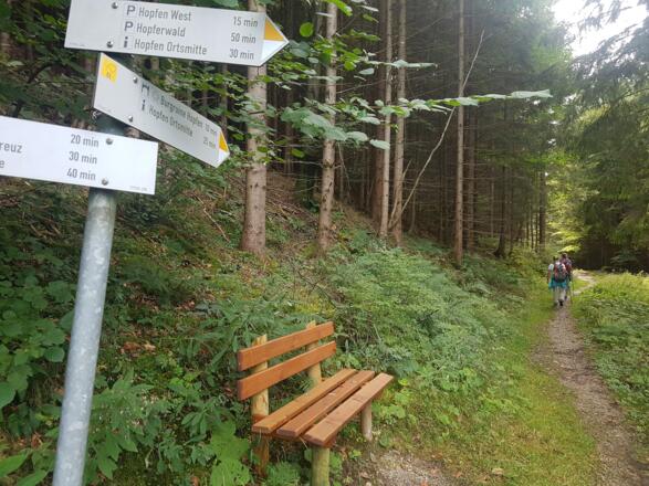 Ruhebank am Weg zur Burgruine Hopfen 