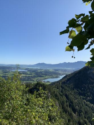 Ausblick vom Falkenstein Richtung Weißensee