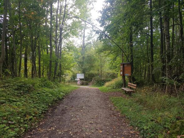 Blick zur Burgruine Hopfen 