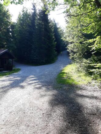 Weggabelung zum Burkenbichl