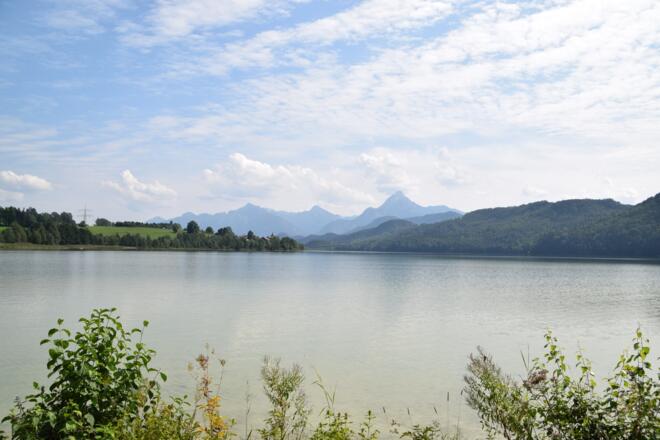 Blick über den Weißensee auf die Ammergauer Alpen