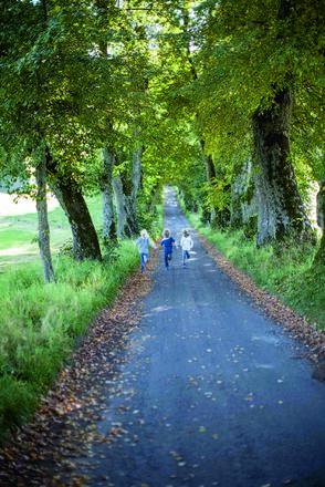 Die Kurfürstenallee in Marktoberdorf