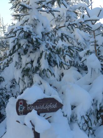 Winter im Reutwaldpfad