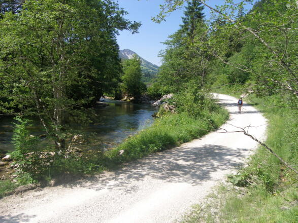 Der Radweg im Tal der Vils führt uns immer am Fluss entlang. 