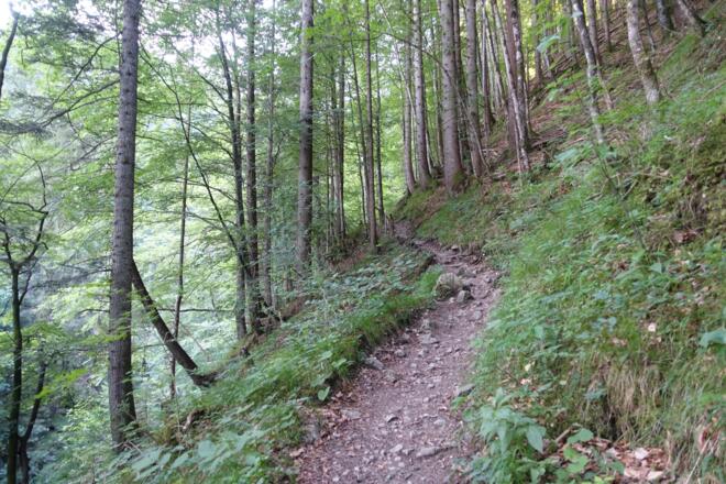 Wanderweg in der Reichenbachklamm 