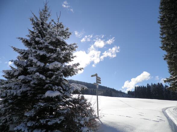 Diese Abzweigung links liegen lassen