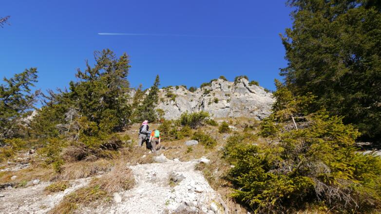 Der Weg auf den Einstein