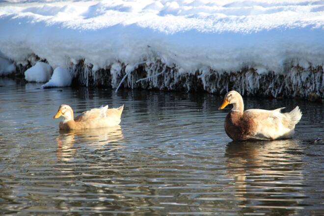 ... auch im Winter keine kalten Füße :) 