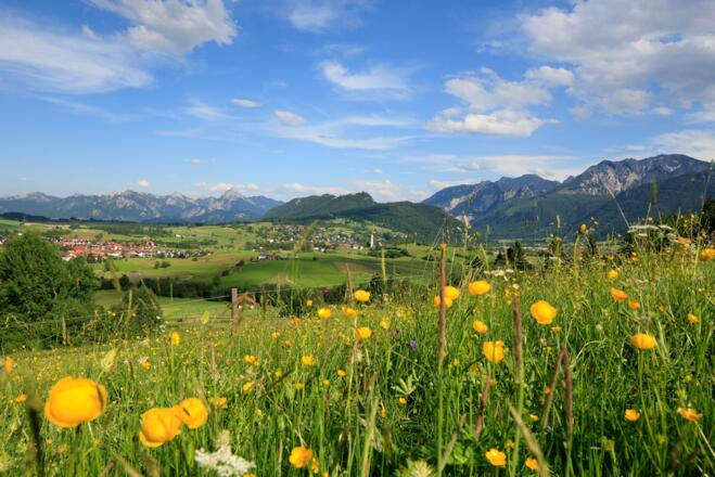 Ausblick vom Bergwiesenpfad auf Pfronten 