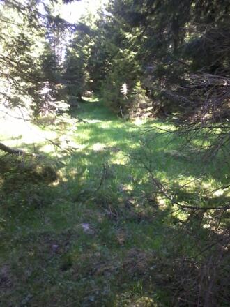 Auf dem &quot;Weg&quot; der Umrundung