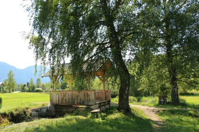 Wandern auf dem Moor- und Streuwiesenpfad