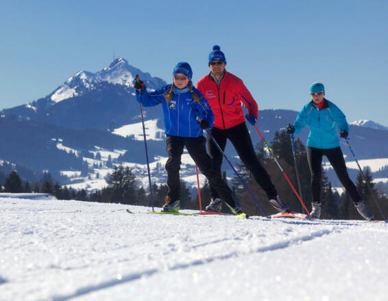 Loipe N2, vor dem Grünten