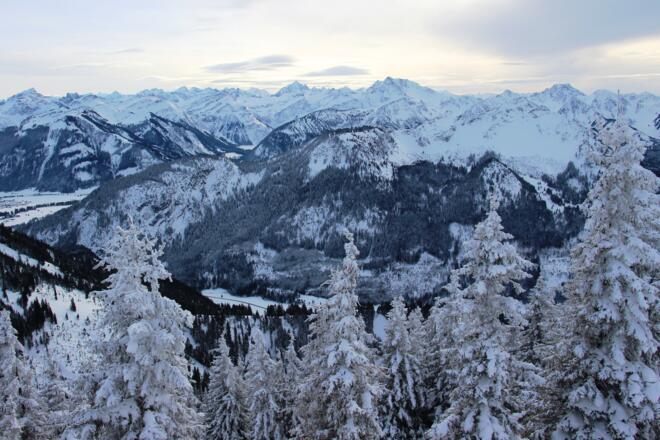 Ausblick auf die Tiroler Alpen 