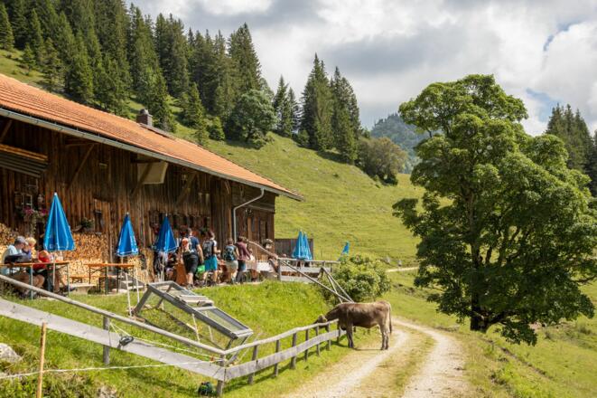 Bärenmoosalpe im Himmelreich am Kienberg