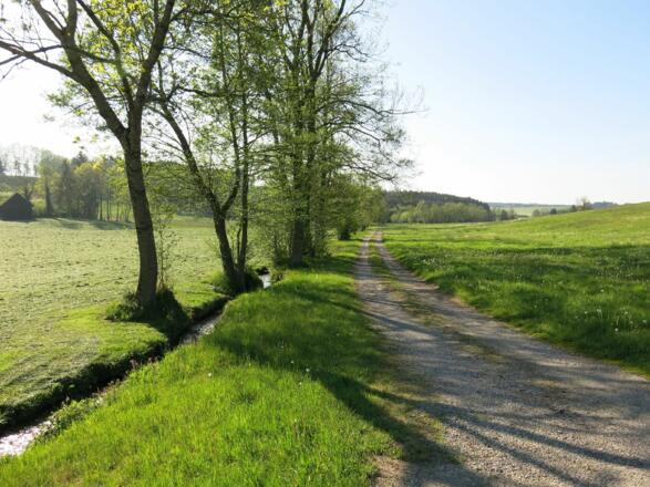 Blick auf das Bächlein &quot;Schwelk&quot; und die umliegenden Wiesen