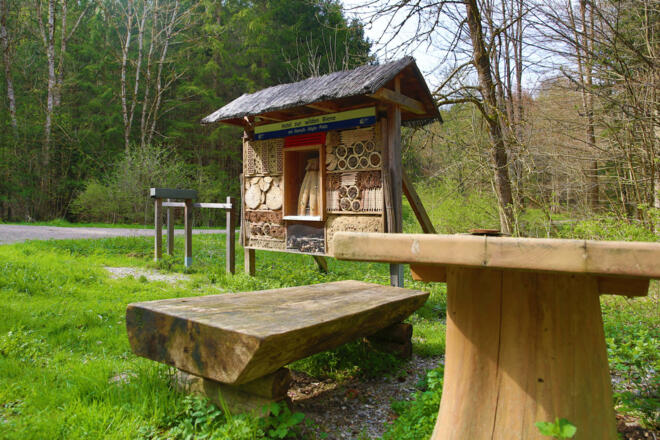 Bienenhotel auf dem Vogellehrpfad