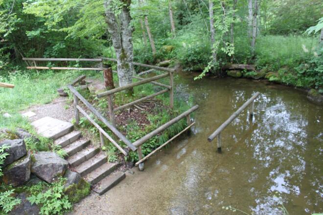 Naturtretbecken am Waldhaus