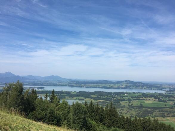 Blick vom Buchenberg auf den Forggensee