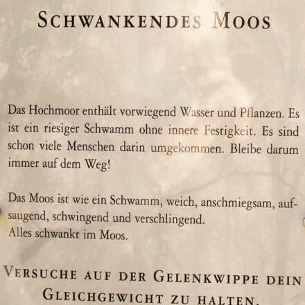 Beschreibung zur Gelenkwippe