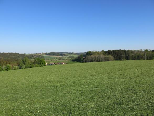 Aussicht auf dem Weg nach Ollarzried